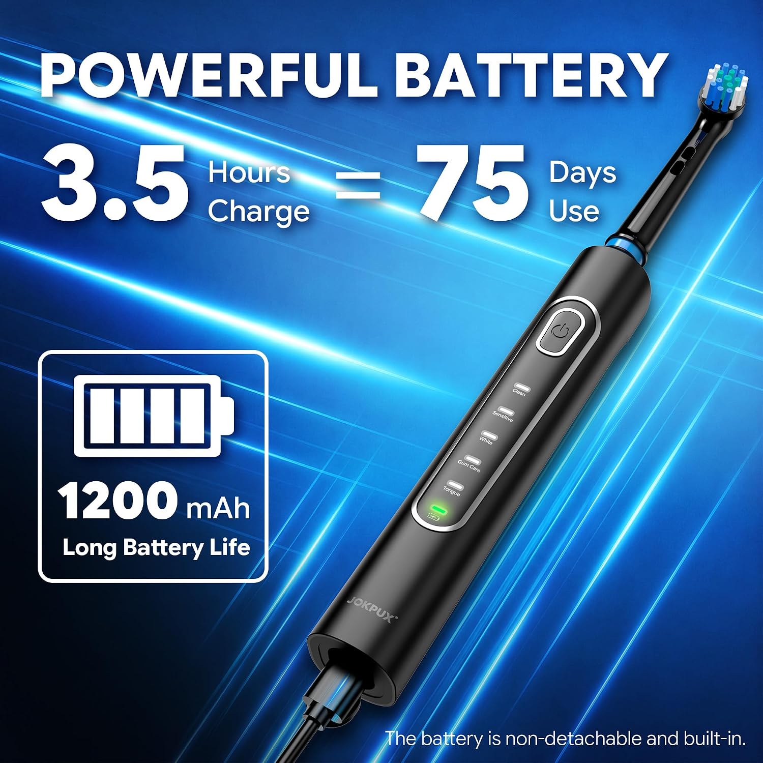 Rotating Electric Toothbrush Foradults,8Brush Heads,75Days Use,Black